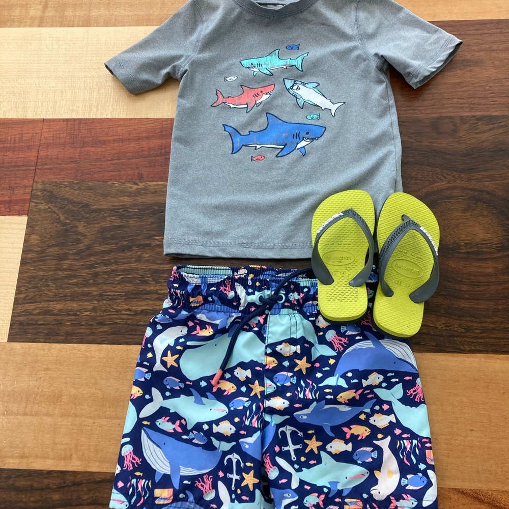 Toddler Swim set/Havaianas flip flops